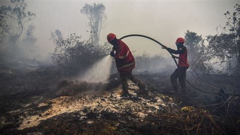 Indonesia to prevent peatland fires using ‘weather modification ...