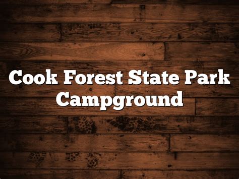 Cook Forest State Park Campground | October 2024 | Pastureandpearl.com