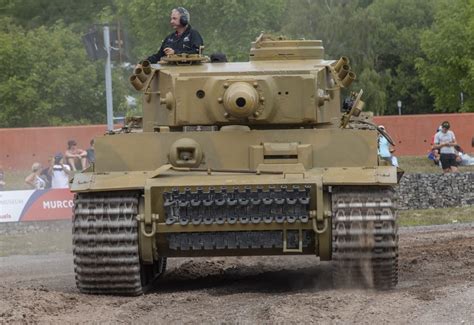 Tiger Day goes ahead at The Tank Museum - The Tank Museum