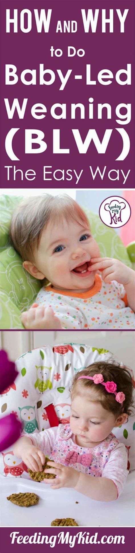 Baby Led Weaning: How to Do It the Easy (and Healthy) Way