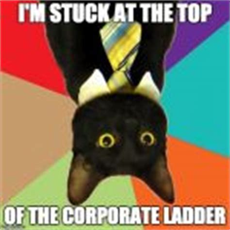 Business Cat Meme Generator - Imgflip