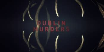 Dublin Murders (Series) - TV Tropes