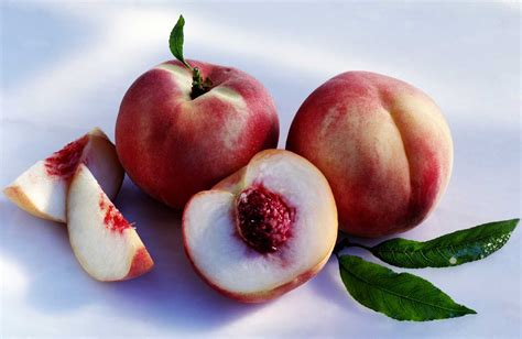 Guide to Peach and Nectarine Varieties