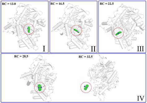 Frontiers | Molecular Dynamics Revealing a Detour-Forward Release Mechanism of Tacrine ...