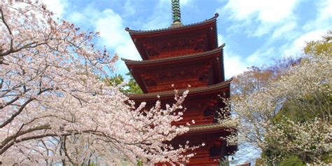 Northern Chiba Temples - Culture - Japan Travel