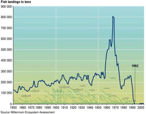 Full-world economics and the destructive power of capital: Codfish catch data 1850 to 2000 ...