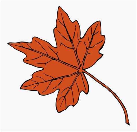 How To Draw A Red Maple Leaf