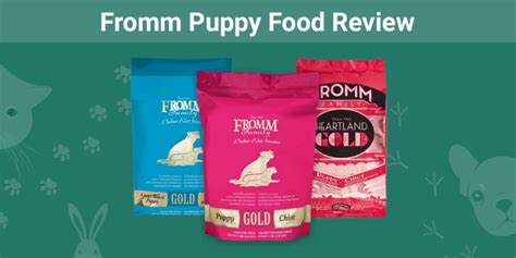 Fromm Puppy Food Review 2024: Recalls, Pros & Cons | Pet Keen