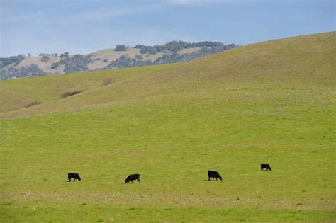 Visit Rohnert Park: Best of Rohnert Park, California Travel 2022 ...