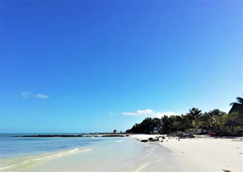 10 Best Beaches in Quintana Roo to check out when in Mexico!