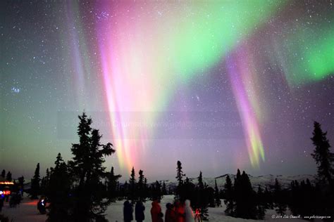 Alaska Aurora Borealis Photo #1646 - Galactic Images