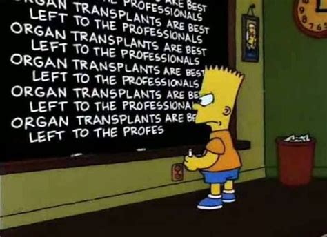 The Best From Bart Simpsons Chalkboard - Gallery | eBaum's World