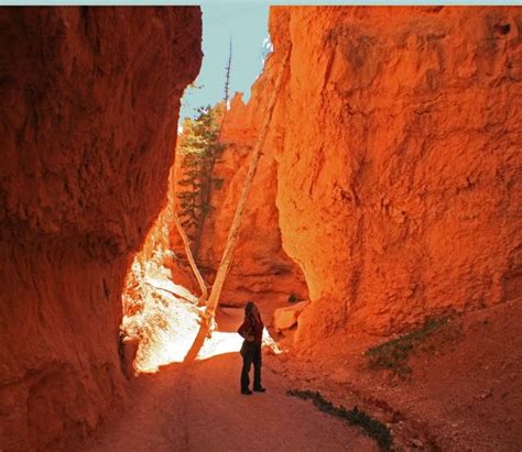 Hiking in Bryce Canyon, Utah- IT was hot, we were hot... good memories ...