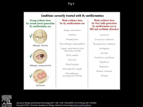 Histamine and H1-antihistamines: Celebrating a century of progress - ppt download