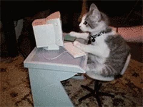 Cat Computer GIF - Cat Computer Typing - Discover & Share GIFs