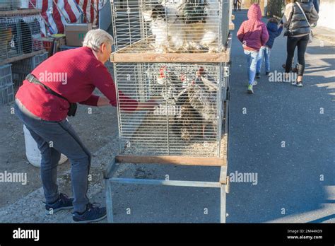 Hasselt. Limburg Belgium 19-03-2022. A chicken seller at an outdoor ...