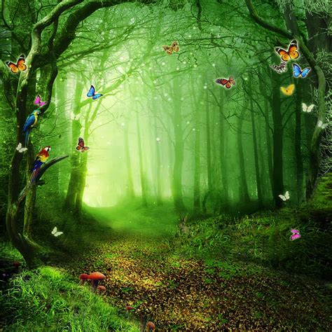 Fairy Tale Forest Scenic Photography Backdrops Trees Colorful Butterflies Kids Children ...