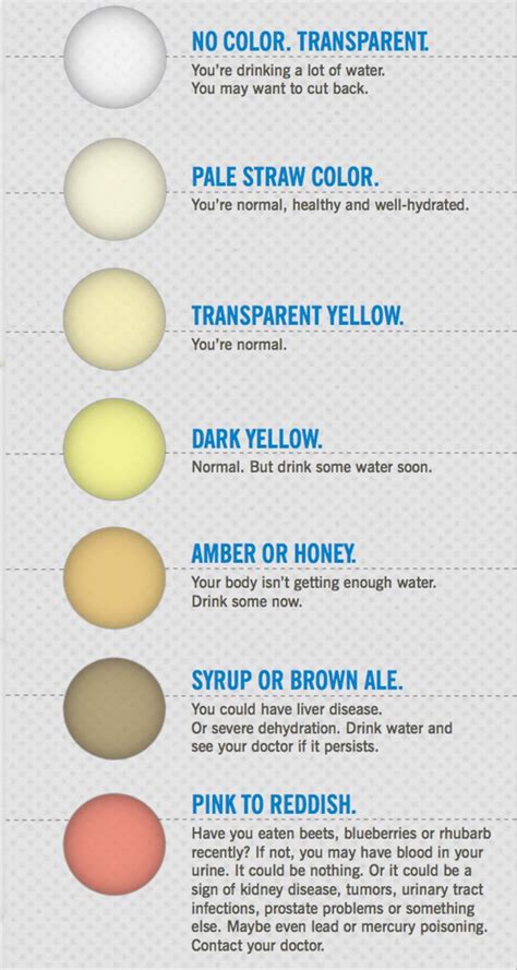 What the color of your pee says about your health | The Summit Express