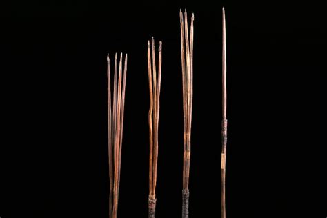 Spears taken by Captain Cook in 1770 to be returned to…