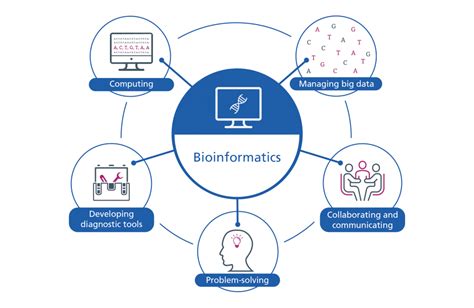 としての 洋書 Basics of Bioinformatics: Lecture Notes of the Graduate Summer ...