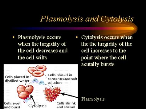 Plasmolysis and Cytolysis