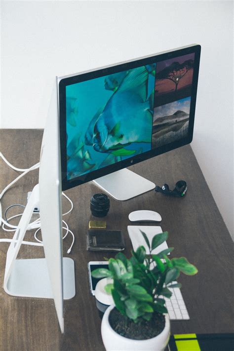 Gambar : meja tulis, Mac, apel, kaca, mouse, hijau, ruang kerja ...