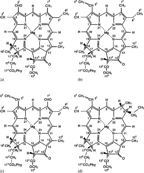 Molecular structure of the chlorin chlorophylls and bacteriochlorophyll ...