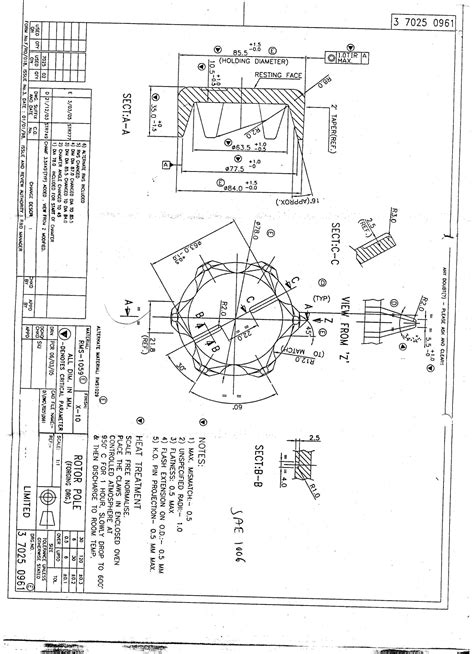 Rotor pole