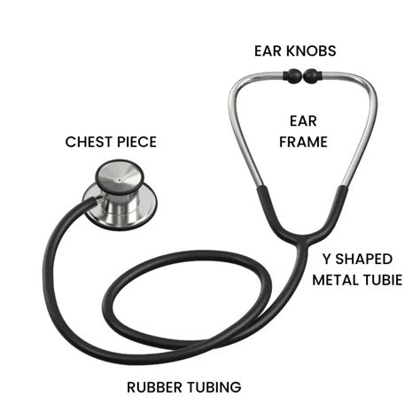 Stethoscope: Definitione, Uses, Part, and more.