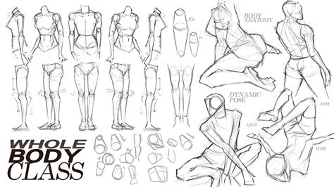 🙌🏻 BODY ANATOMY POSE CLASS [ "A to Z" TUTORIAL ] 🙌🏻 - YouTube