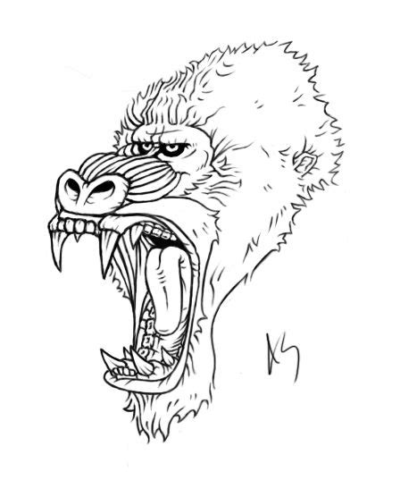 Super tête sauf le regard | Mandrill, Baboon, Art