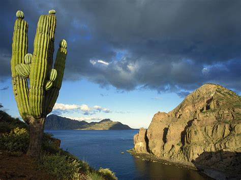 🔥 Download Baja California Mexico Image Danzante Island Sea Of Cortez by @ericgoodman | Baja ...