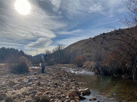 Jarbidge River, NV - Roam + Reel