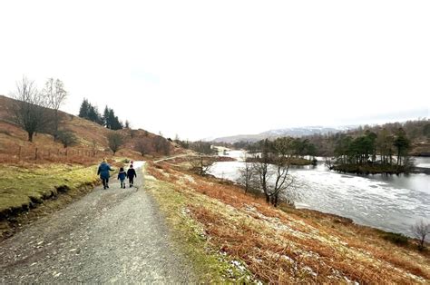 Tarn Hows Circular Walk - Lake District with Kids