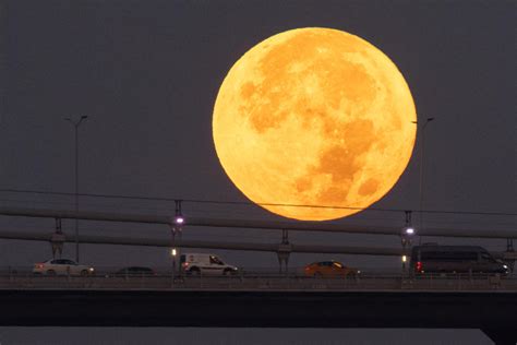 13 breathtaking photos of the supermoon known as the ‘blue moon’ in ...