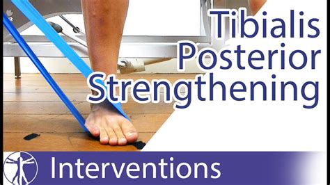 Posterior Tibial Tendonitis Exercises Pdf - Posterior Tibial Tendonitis Stretches & Exercises ...