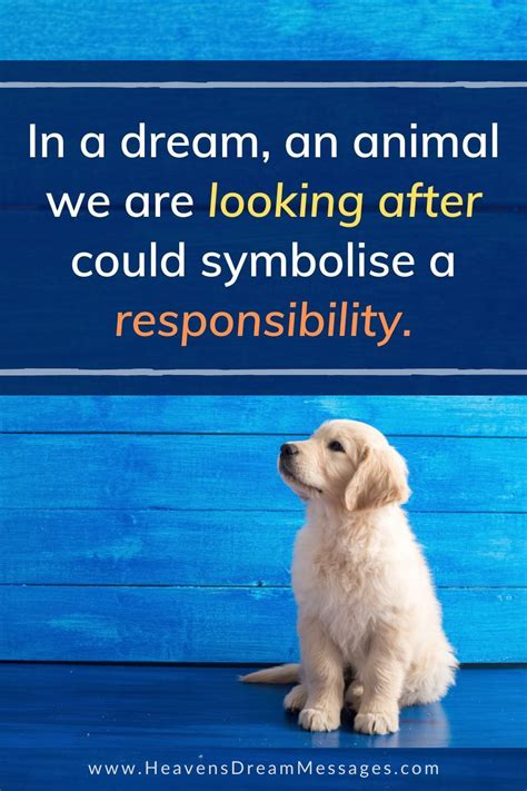 Dream symbols animals and what they mean – Artofit