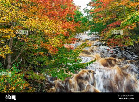 The Sable River with fall foliage color, Nova Scotia, Canada Stock ...