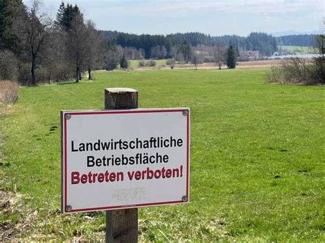 19 04 2022, Around the moor lake Elbsee near Aitrang in the Allgäu there are beautiful footpaths