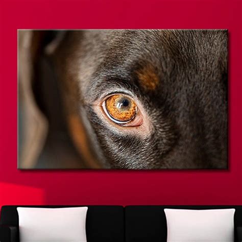 Dog Eyes Photo Art - Etsy