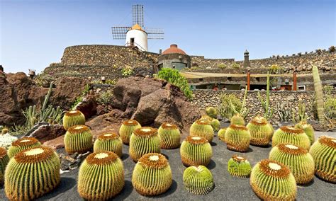 The 12 Best Boutique Hotels in Lanzarote, Spain – Wandering Wheatleys