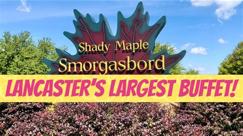 Shady Maple Smorgasbord! Largest Buffet in the US! Tour & Review! - YouTube