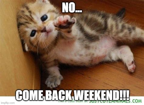 Weekend NOOOO! Come back. Come back! Memes - Imgflip