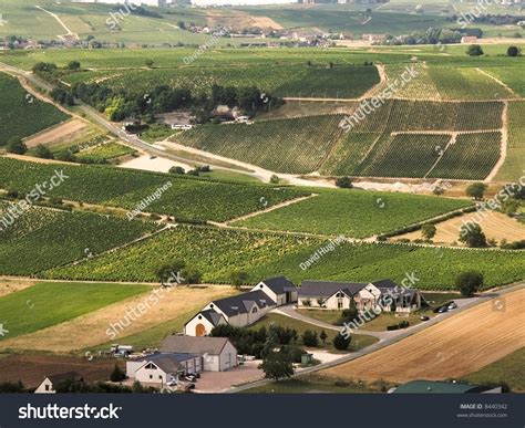 Vineyards In The Loire Valley France. Stock Photo 8440342 : Shutterstock