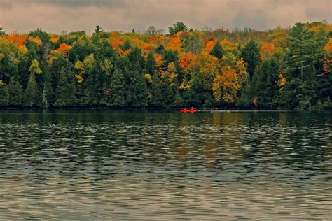 22 Best Ontario Provincial Parks for Camping, Hiking and Paddling