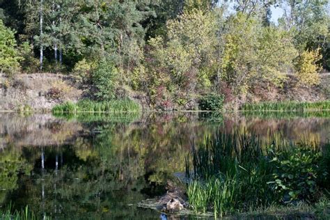 The Psel River in the Autumn. Stock Image - Image of leaf, sand: 101304447