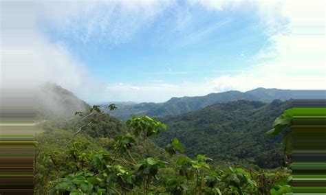 Omar Torrijos National Park, Panama - 2018 Guide