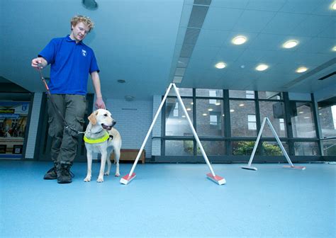 Safety flooring gets bark of approval at Guide Dogs Training School