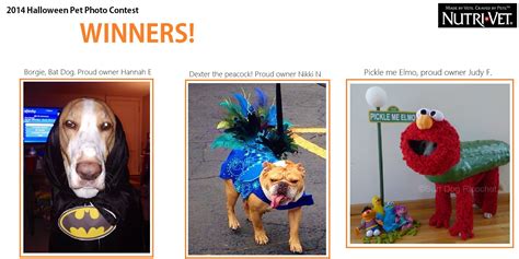 The Halloween Pet Photo Contest WINNERS! #Dog #FUN #Costumes | Pet ...