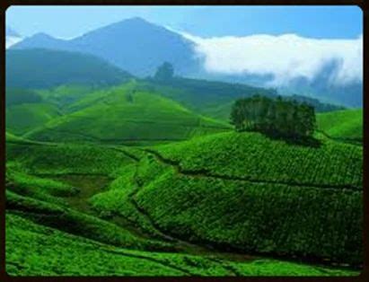 Kerala Tour, Itinerary Services, Vacation Packages, Itinerary Job Work, Tour Operators ...